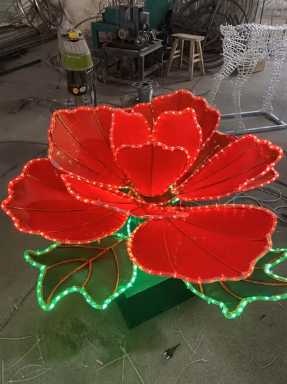 Any Shape Eco Luminary Fuel Giant Lantern Festival