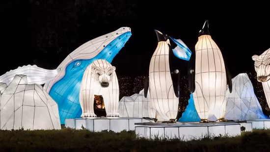 Chinese Festival Lanterns for Holiday Lighting