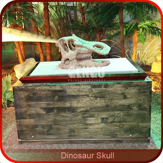 Dinosaur Fossil Life Size Dinosaur Skeleton Dinosaur Skull Replicas for Sale 