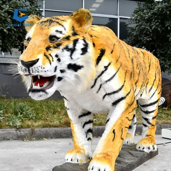 AA